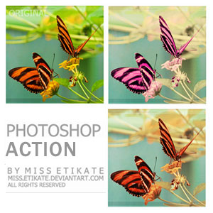 Photoshop Action Photo Color Effect