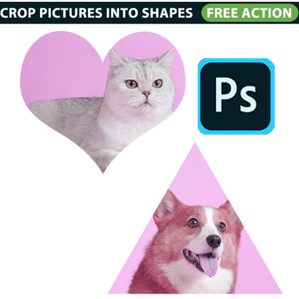 Crop Picture Shape